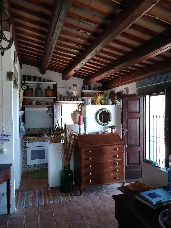 Il Corbezzolo Suite Appartament 카스텔루치오 외부 사진